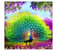DIY Broderie Diamant Complet Grande Format Paon 5D Diamond Painting pour Adulte & Enfants Full Drill Cristal Stras Point De Croix Salon Chambre Décor Murale à la Maison Cadeau-Square Drill,60x60cm
