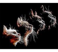 DIY Broderie Diamant Kit Complet Round drill Chat Noir 50x70cm 5D Diamant Peinture Broderies Au Point de Croix Cristal Strass Image Arts Artisanat pour La Maison Décoration Murale Cadeau (20x28in)