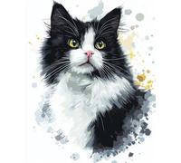 DIY Coloriage Adulte Numéroté（Cadre DIY) Chat Noir Et Blanc Kits De Peinture Par Numéro Kit De Peinture À L'Huile Sur Toile Art Artisanal Pigment Acrylique Dessin Peinture Pour Cadeau Déc 40x50cm