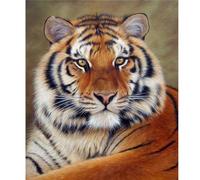 DIY Diamond Painting Adultes,Peinture Diamant Animal Tigre Broderie Diamant Kits Complet,5D Puzzle Diamond Art Strass Point de Croix Painting,Pour Noel La Décoration Murale De La Maison 30x40cm HS-582