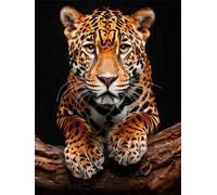 DIY Diamond Painting Animal 50x70cm Peinture Diamant Adulte 5D Forêt Diamant Painting Kit Complet, Cristal Point de Croix Peinture, Broderie Diamond pour Decoration Murale Maison Cadeau Femme yc-620