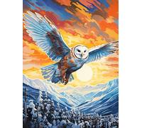 DIY Diamond Painting, Chouette volant sur la montagne enneigée, G, 5D Diamant Peinture Pleine Ronde perceuse Kits collé Arts Artisanat Maison décoration Murale
