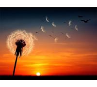 DIY Diamond Painting Coucher de soleil 70x90cm Peinture Diamant Adulte 5D Pissenlit Diamant Painting Kit Complet, Cristal Point de Croix Peinture, Broderie Diamond pour Decoration Murale Maison yc-774