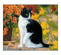 DIY Diamond Painting Full Drill Kit de Peinture Diamant square drill Chat Noir Et Blanc 20x30cm Broderie Diamant kit Complet Point de Croix Arts Craft Pour Décoration Murale la Maison 8x12in