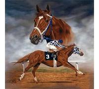 DIY Diamond Painting Kit Complet,Cheval de course Round Drill 5D Peinture Diamant Complet by Numbers Cristal Strass Diamond Broderie Point de Croix Canevas Artisanat Décor Murale À La Maison 30x30cm