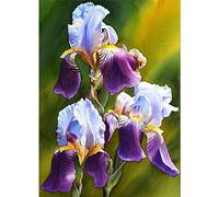 DIY Diamond Painting Kit Complet,Fleur d'iris violet 5D Peinture Diamant Complet by Numbers Cristal Strass Broderie Diamond Point De Croix Canevas Artisanat Décoration Murale À La Maison 25x45cm