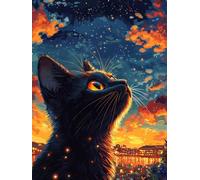 DIY Diamond Painting Kits, Chat Noir Ciel éToilé 5D Entièrement Diamant Cristal Point de Croix Peinture，Pour la Décoration de Chambre à Coucher, Home Wall Decor, Femme Gifts 60x120cm P5CL-254