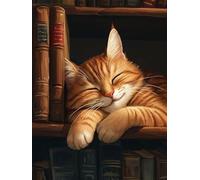 DIY Diamond Painting Kits, Le Chat Somnambule 5D Entièrement Diamant Cristal Point de Croix Peinture，Pour la Décoration de Chambre à Coucher, Home Wall Decor, Femme Gifts 80x160cm P5CL-488