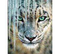 DIY Diamond Painting par Numéro Kits Roi panthère gelé Peinture Diamant 5D Complet Strass Point De Croix Broderie Diamant Arts Crafts pour Chambre Décoration Murale à la Maison 30x40cm/12x16inch T3008