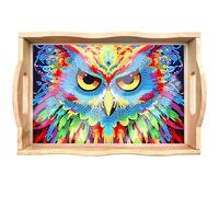 DIY Diamond Painting Plateau de service rectangulaire en bois avec poignées, peinture diamant (21 hiboux)