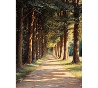 DIY Forêt Peinture Diamant Painting Kit, 5D Paysage 2 Art du Diamant Full Drill Ronde Kits, Diamond Art Kits Point de Croix Painting pour Adultes Débutants Cadeau Femme Maison Décor 40x50cm Y1SG-843