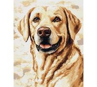 DIY Kit Broderie Debutant Portrait de Labrador Retriever 11CT 30x40cm
