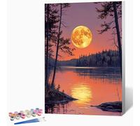DIY Paysage Peinture Numero Adulte Pleine Lune Peinture Par Numero Adulte CréAtifs Kit De Bricolage Sur Toile, DéButants Acrylique PigmentéE Coloriage Kit, Decoration 40x50cm (Sans Cadre) -LKF07444