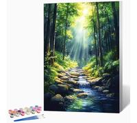 DIY Paysage Peinture Numero Adulte Ruisseau Peinture Par Numero Adulte CréAtifs Kit De Bricolage Sur Toile, DéButants Acrylique PigmentéE Coloriage Kit, Decoration 60x80cm (Sans Cadre) -LKF0761P7