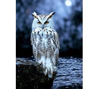 DIY Peinture Diamant Adulte, Diamond Painting Enfant La Chouette 5D Diamant Kit Kits de Broderie au Point de Croix Diamant Strass Point de Croix Cristal Painting pour Noël Décoration 40x50cm Z-372