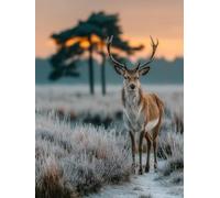 DIY Peinture Numero Adulte Animal, Peinture Numero Activité Manuelle Adulte Kit Arbre, Paint by Numbers for Adults avec Pinceaux et Pigment Acryliques, Decoration Chambre, Cadeau Femme, 60x90cm 3-1346