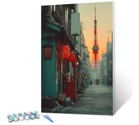 DIY Peinture Numero Adulte avec Cadre Vue De La Rue, Peinture Numero Activité Manuelle Adulte Kit Japon, Paint by Numbers for Adults avec Pinceaux et Pigment Acryliques, Cadeaux Fille, 40x50cm 6-1927