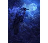 DIY Peinture Numero Adulte corbeau Peinture Numero lune Peinture Numero Enfant Adultes Loisirs Créatifs, Peinture par Numéros pou Débutants Activité Manuelle, Schön Cadeau Femme 40x50cm Sans Cadre