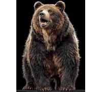 DIY Peinture Numero Adulte Ours, Animal Peinture Numero Activité Manuelle Adulte Kits, Paint by Numbers for Adults avec Pinceaux et Pigment Acryliques, Cadeau, Decoration Maison, 100x135cm, Q-5377