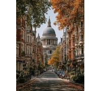 DIY Peinture Numero Adulte Vue De La Rue, Architecture Peinture Numero Activité Manuelle Adulte Kits, Paint by Numbers for Adults avec Pinceaux et Pigment Acryliques, Deco Maison, 30x40cm, 7-8327