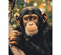 DIY Peinture Par Numero（Sans Cadre）Animal Gorille Kits De Peinture Par Numéro Kit De Peinture À L'Huile Sur Toile Art Artisanal Pigment Acrylique Dessin Peinture Pour Cadeau Décoration M 40x50cm