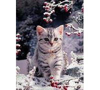 DIY Point de Croix Kit pour Debutant Adulte,Canevas Point de Croix Kit Complet Enfant,11CT Toile pré-imprimé,Moineaux et fleurs,Chat Animal,40x50cm