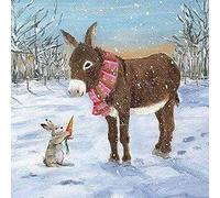 DIY Point de Croix Kit pour Debutant Adulte,Canevas Point de Croix Kit Complet Enfant,11CT Toile pré-imprimé,Moineaux et fleurs,Lapin âne,40x50cm