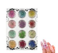 DIYCUT Fleurs Séchées à Ongles 12 Couleurs, Fleur Seche Nail Art, Fleurs pour Ongles, Mini Décoration Nail Art, avec Boîte Transparente, pour Bijoux, Coques Téléphone, Albums et Décorations