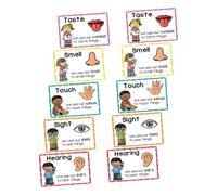 DIYEAH 2 Ensembles Children's Early Education Posters Learning Cards for Cognitive Development and Sensory Recognition Reusable Preschool Classroom Decorations