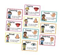 DIYEAH 2 Ensembles Early Childhood Education Picture Cards for Sensory Cognitive Development Flash Posters for Preschool Classroom and Home Learning