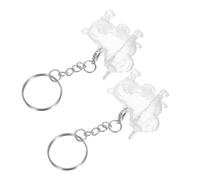 DIYEAH 2 pièces Boîte Commémorative pour Poils Animaux Compagnie Porte-clés Capsule Transparente Forme Chien Rangement Sécurisé Poils Chat et Chien Souvenir Portable pour Propriétaires