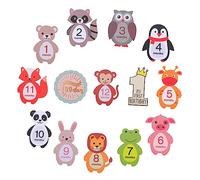 DIYEAH 24 Pièces Autocollants Jalons pour Bébés Décalcomanies Animaux pour Photos de Nouveaux Accessoires de Photographie de