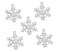 DIYEAH 5pièces Médaille Pour Animal De Compagnie Acier Inoxydable Breloques Flocons Pour Colliers De Chien Pendentifs De Noël