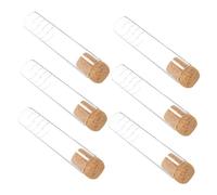 DIYEAH 6 pièces Infuseur à Thé Verre avec Passoire Transparente et Bouchon Liège Filtre à Thé Vrac pour Maison et Bureau