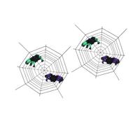 DIYEAH 6 Pièces Lot de 3 Accessoires Halloween Toile d'Araignée en Peluche Noire Épaisse 3,6 M 2 Araignées Peluche 30 CM pour Décoration Maison Hantée Fête d'Intérieur et Extérieur