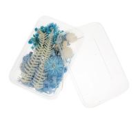 DIYEAH Boîte de 1 Fleurs Séchées Naturelles Mixtes pour Cadre Photo Fleuri Soi-Même - Assortiment Délicat pour Décoration Scrapbooking et Ornements DIY Composition Fleurs Séchées