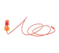 DIYEAH Câble USB-c vers USB-c Chien Mobile 30w, Métal Plastique, Orange