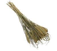 DIYEAH Céréales Décoratives Naturelles pour Litière de Hamster et Petits Animaux Éléments Floraux pour Cage Habitat Enrichi Accessoires pour Chinchilla et Hamsters