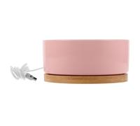 DIYEAH Gamelle chauffante électrique pour Animaux de Compagnie avec Bol Amovible 4.80In, Distributeur d'eau Thermique Rond pour Petits Animaux et Poulets, adapté aux froids hivernaux