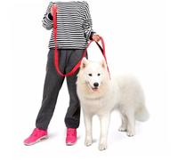 DIYEAH Laisse Réfléchissante Double Poignée en Nylon Robuste, Taille Moyenne et Grosse, pour Promenade, Jogging et Randonnée, Adaptée aux Chiens Actifs et Sportifs, Couleur Rouge