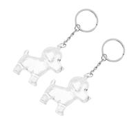 DIYEAH Lot de 2 Porte-Clés Souvenirs en Poils de Chien Transparents Coffret Commémoratif Compact pour Animaux Présent Sentimental pour Propriétaires de Chiens et Chats Accessoire