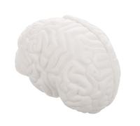 DIYEAH Modèle Anatomique du Cerveau Détachable en Pvc Blanc, Haute Précision, pour Éducation Scientifique et Écoles Médicales, Affichage Pédagogique Réaliste