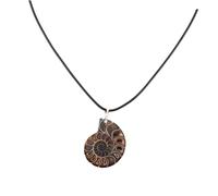 DIYEAH Pendentif En Pierre En Spirale Collier Bijoux Pour Femmes Spécimen D'ammonite Naturel Charmes Du Collier D'ammonite Pendentif Spécimen De Conque Fossile De Conque Naturel