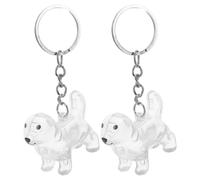 DIYEAH Porte-Clés Collecteur Transparent pour Poils D’Animaux Lot de 2 Flacons Souvenir pour Poils de Chien et Chat Boîte de Rangement Compacte et Portable ’Animaux Perdus