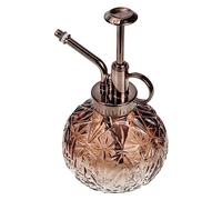 DIYEAH Pulvérisateur à Pression Verre avec Pompe Vintage Distributeur de Savon Liquide et Arrosoir Créatif pour Plantes d’Intérieur Usage Domestique et Bureau
