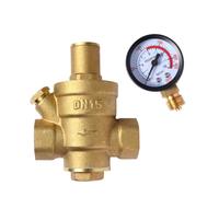 DIYEAH Régulateur de Pression D'eau Soupape de Régulation de Pression D'eau en Laiton Dn15 Pn1.6 Protège Filtre et Tuyau pour Robinet et Instabilité Hydraulique
