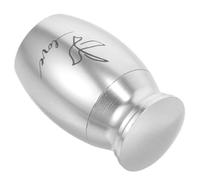 DIYEAH Urne Funéraire Mini pour Petit Oiseau en Acier Inoxydable Argenté | Cendres de Perruche ou Pinson, Design Élégant, Étanche, Transport Pratique et Souvenir Discret