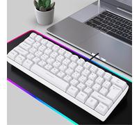 Diyeeni Clavier de Jeu RVB à 61 Touches, Clavier Mécanique Filaire Compact à Disposition Russe avec Modes Rétroéclairés RVB, Technologie Anti-Image Fantôme, pour Le Travail de Frappe (White) (White)