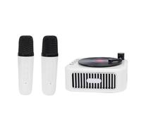 Diyeeni Haut-Parleur karaoké Bluetooth Portable, avec 2 Micros sans Fil, Son HiFi, Lecture 5H, pour Enfants et Adultes, Fête à Domicile, Voyage en Plein Air (White)