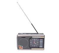 Diyeeni Radio Rétro, Haut-Parleur Bluetooth avec Réception FM AM SW, Emplacement USB et Carte Mémoire, Autonomie de 6 Heures, Conception Portable pour Une Utilisation en (Prise UE 220V)